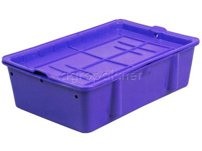 Ящик сырково-творожный с крышкой 502х332х150мм, синий 